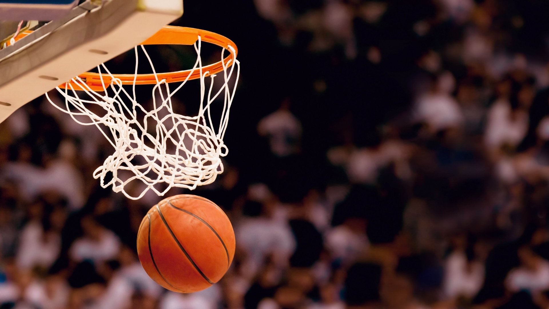 NBA球员训练技术优化方案，nba球员训练技术优化方案有哪些