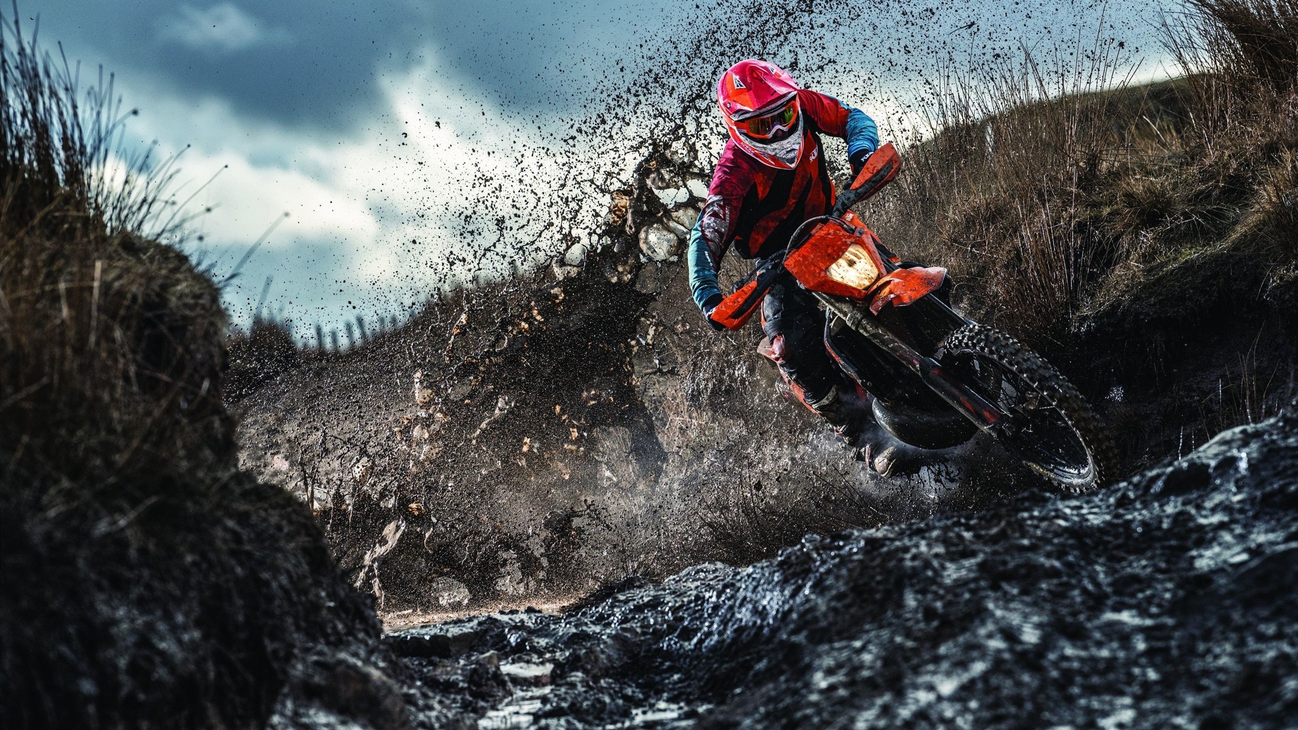 “德甲高水平对决，场面精彩纷呈”，德甲水平高吗