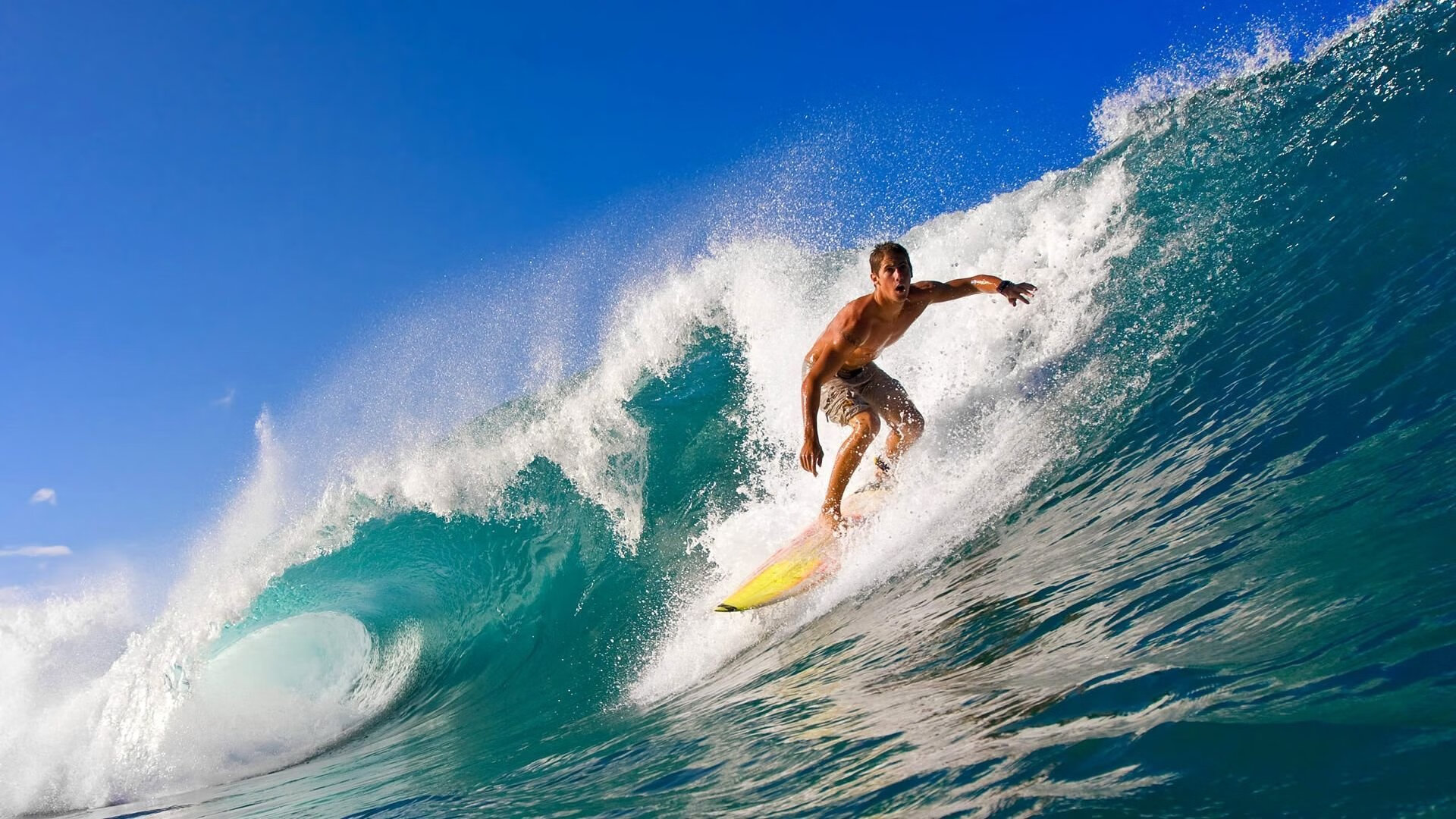 世界短道速滑锦标赛创新技术应用，助推比赛公平，世界短道速滑比赛视频